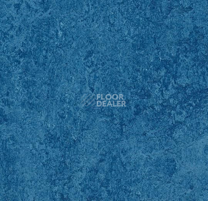 Кварцвиниловые полы Marmoleum Modular t3030 blue фото 1 | FLOORDEALER